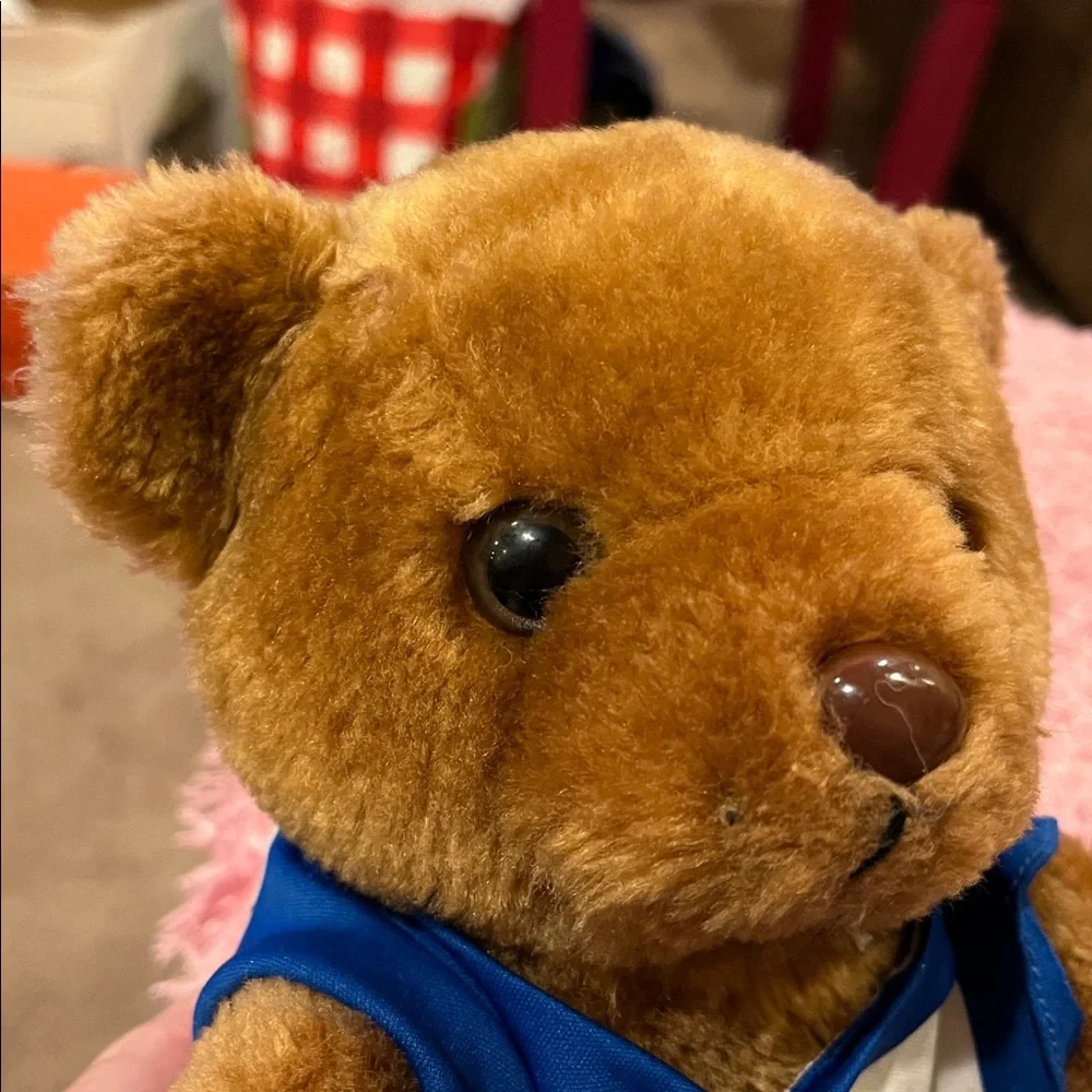 Chicago Cubs teddy bear